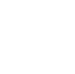 Fleetwolf Logo White 1 min